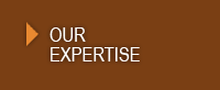 Our Expertise