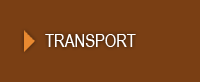 Transport